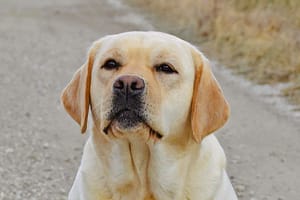 Livie mit 2 Jahren